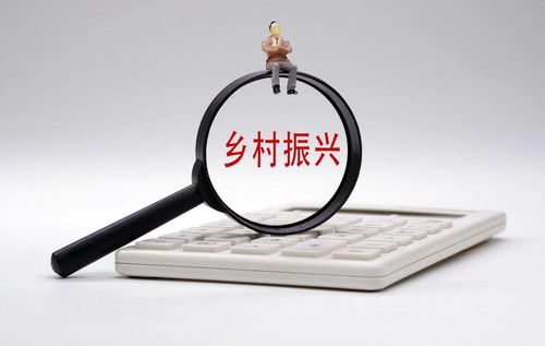 打通金融“最后一公里”，以多元服務賦能鄉村振興