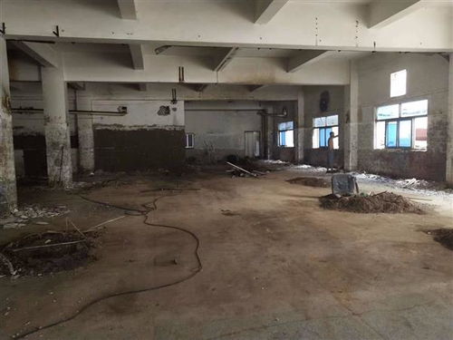 地震無(wú)情，數(shù)據(jù)有心 揭秘開平市幼兒園房屋抗震檢測(cè)成本的多維考量